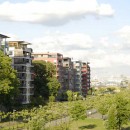 DSC0006