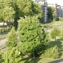 DSC0008