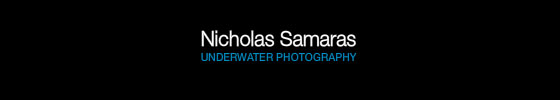 Nicholas Samaras - Underwater Photography